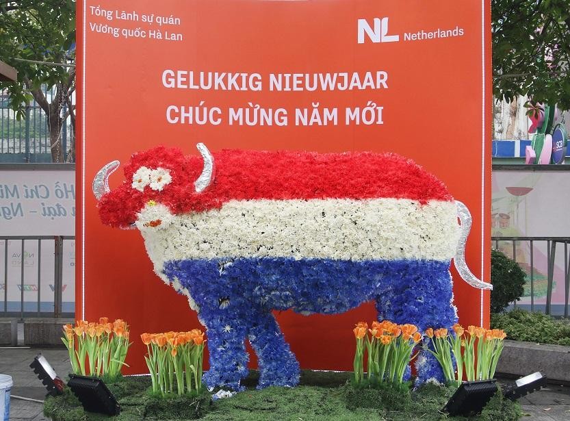 Ấn tượng với chú trâu hoa của Tổng lãnh sự quán Vương quốc Hà Lan Ấn tượng với chú trâu hoa của Tổng lãnh sự quán Vương quốc Hà Lan