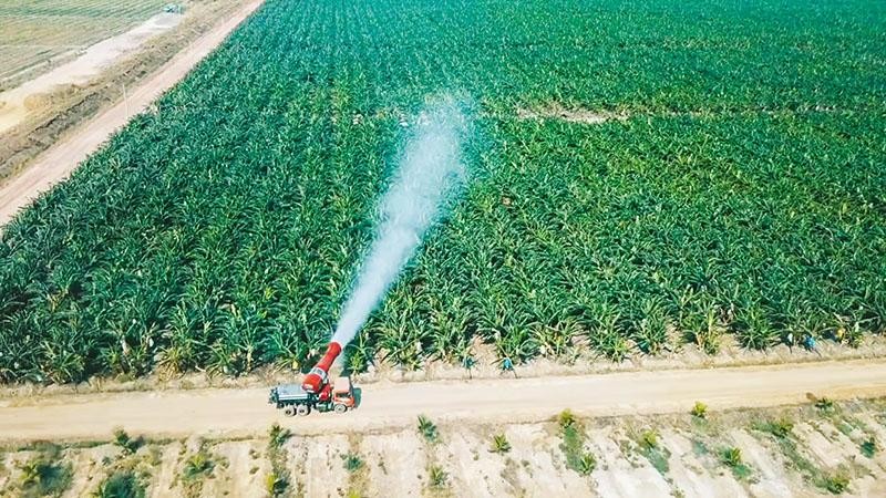 Nếu làm tốt trên nền tảng hữu cơ, thì nông nghiệp Việt Nam hoàn toàn có thể cạnh tranh quốc tế