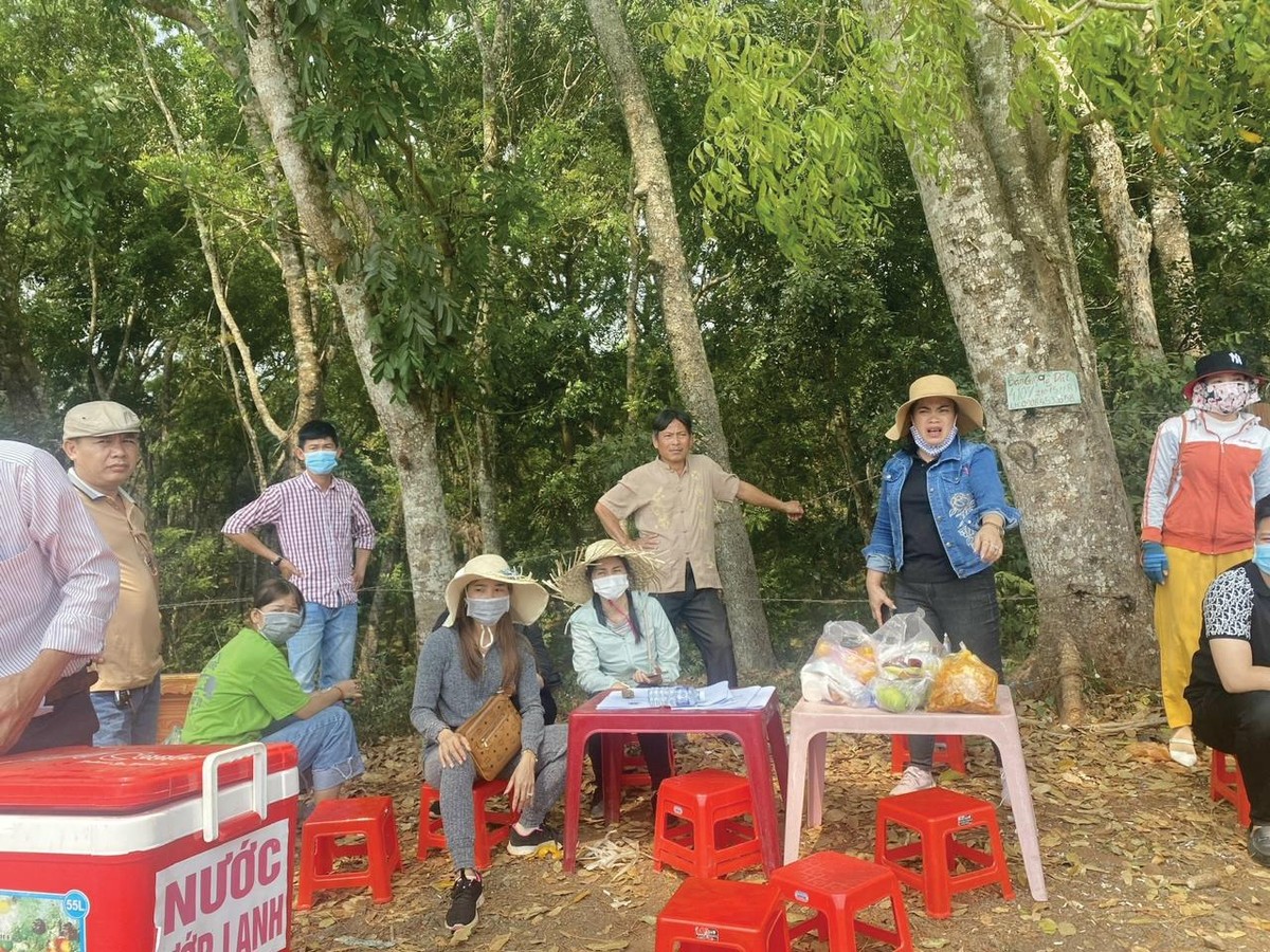 Các môi giới chuyên và không chuyên tập trung ở các “điểm nóng”