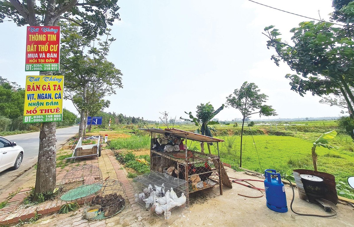 Giá đất nền ở nhiều địa phương liên tục tăng nóng. Ảnh: Dũng Minh
