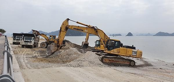 Công ty Phương Đông đã bị xử phạt 100 triệu đồng và phải hoàn trả lại mặt bằng nguyên trạng ban đầu.