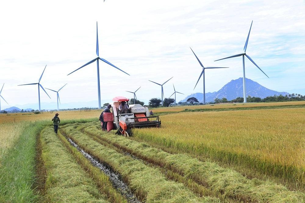 Nhiều dự án năng lượng tái tạo trên địa bàn tỉnh Ninh Thuận đã đi vào hoạt động.