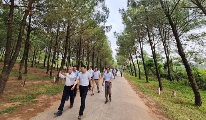 Lãnh đạo tỉnh Thừa Thiên Huế và các sở ban ngành khảo sát khu vực Đồi Vọng Cảnh.
