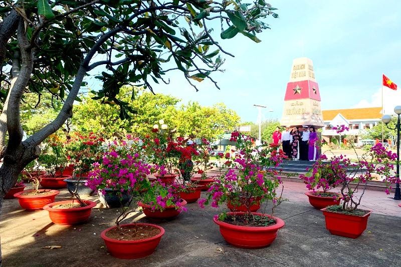 Trường Sa bây giờ không chỉ rất xanh mà còn rất đẹp. Trong đó, CLB "Vì biển đảo quê hương" đóng góp được một phần không nhỏ trong thành quả này. (Ảnh: Nhân vật cung cấp)