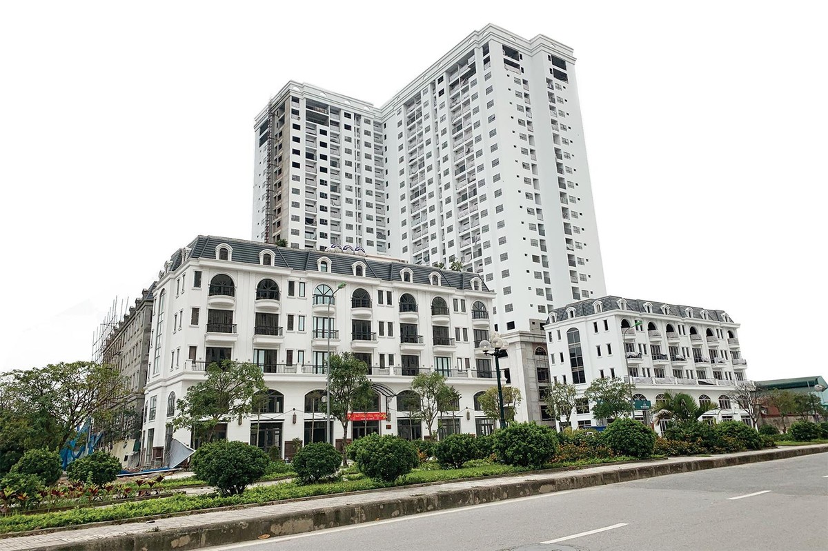 Dự án TSG Lotus Sài Đồng