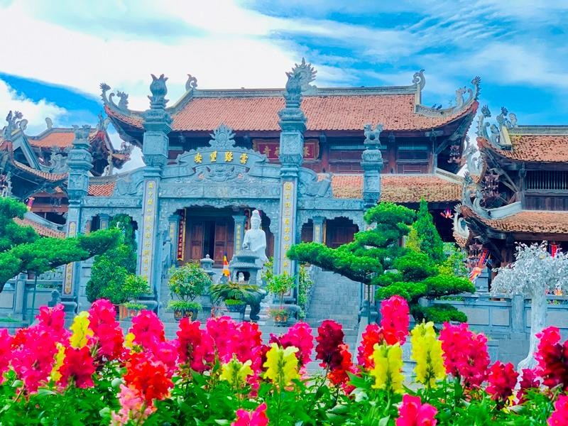 Nếu ai thích những sắc màu rực rỡ, đừng bỏ qua những thảm hoa sao nhái hay mõm sói như hàng ngàn đốm màu nhảy nhót dưới nắng hè.
