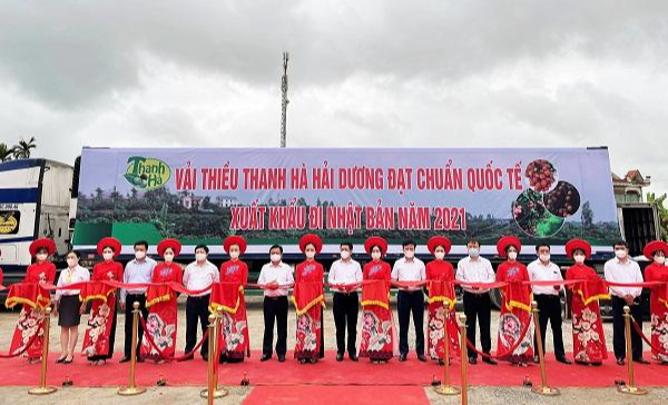 Xuất khẩu chuyến vải thiều đầu tiên đi Nhật Bản tại lễ mở vườn thu hái vải xuất khẩu ngày 18/5