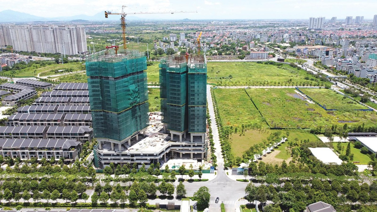 Nhiều chủ Kl99ok phiên bản mới đã sẵn sàng đưa sản phẩm ra thị trường.