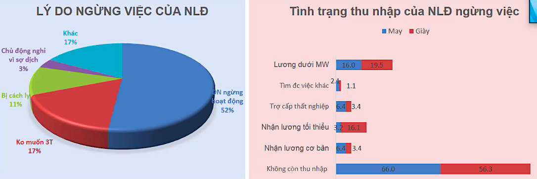 Tình hình về người lao động ngừng việc trong ngành dệt may và da giày tham gia Khảo sát nhanh.