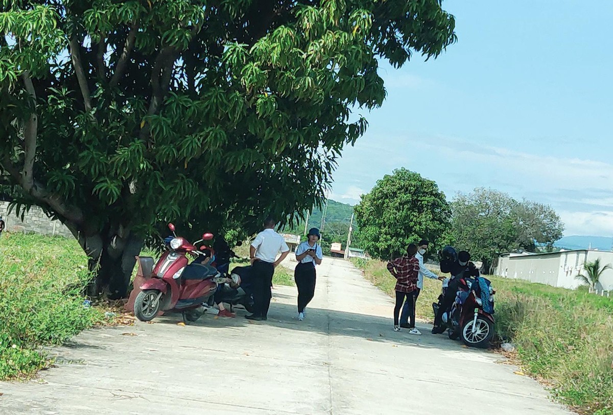 Nhà Kl99ok phiên bản mới săn đất tại Cam Lâm. Ảnh: Lê Toàn