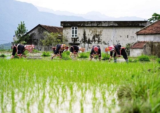 Năm 2021, Quảng Ninh dành 200 tỷ đồng để Kl99ok phiên bản mới Kl99kl ưu đãi độc quyền thiết yếu và tạo sinh kế cho đồng bào. Ảnh: Nguồn baoquangninh.com.vn