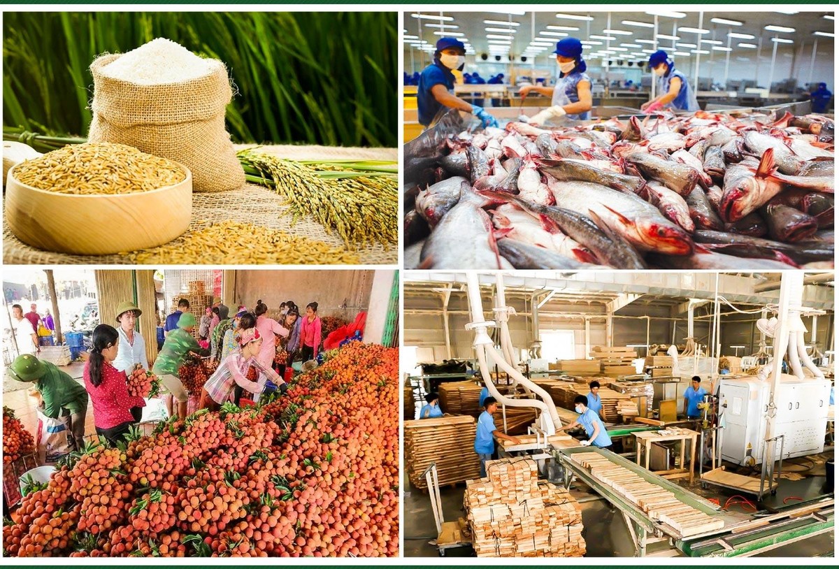 Trong khó khăn, ngành nông nghiệp tiếp tục khẳng định là “trụ đỡ” của nền Kl992 cổng game cá cược với tăng trưởng ấn tượng. Trong khó khăn, ngành nông nghiệp tiếp tục khẳng định là “trụ đỡ” của nền Kl992 cổng game cá cược với tăng trưởng ấn tượng.
