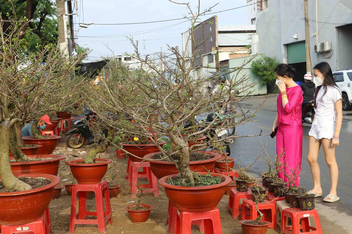 Năm nay, do ảnh hưởng bởi dịch Covid-19, các tiểu thương từ miền Tây mang hoa lên cũng ít hơn.