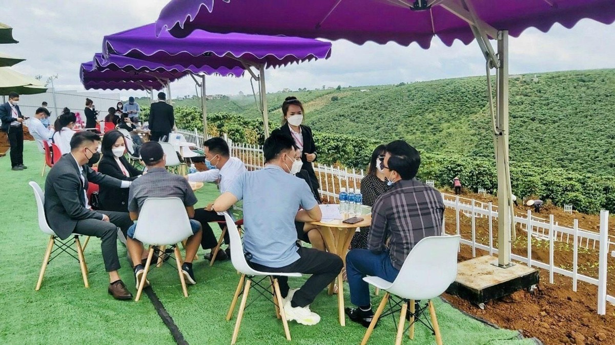 Nhà Kl99ok phiên bản mới địa ốc rủ nhau lên rừng săn đất