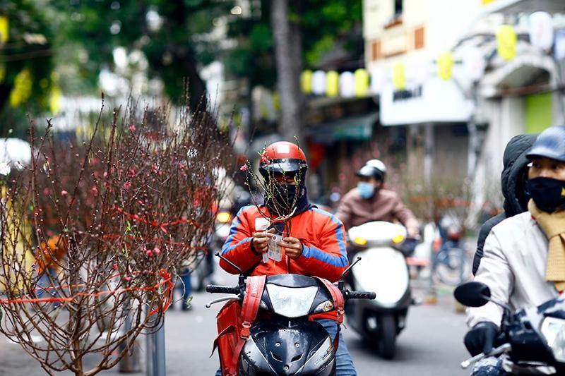 Dù bận mải đến đâu, hoặc điều kiện gia đình ở mức nào, ai cũng muốn có một cành đào dù nhỏ nhất để mong năm mới có nhiều may mắn đến với gia đình mình