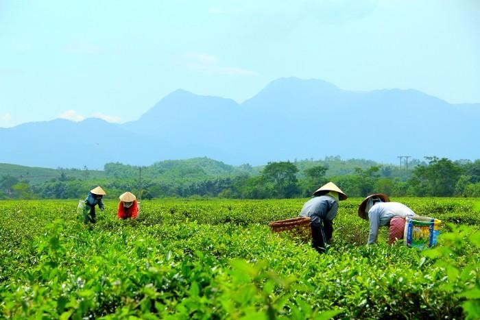 Khu du lịch nghỉ dưỡng sinh thái cao cấp Tây Bà Nà được quy hoạch trên địa bàn huyện Đông Giang.