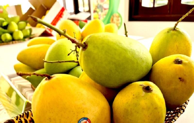 Xoài Cao Lãnh là đặc sản nổi tiếng của tỉnh Đồng Tháp. Ảnh: Nguyệt Ánh