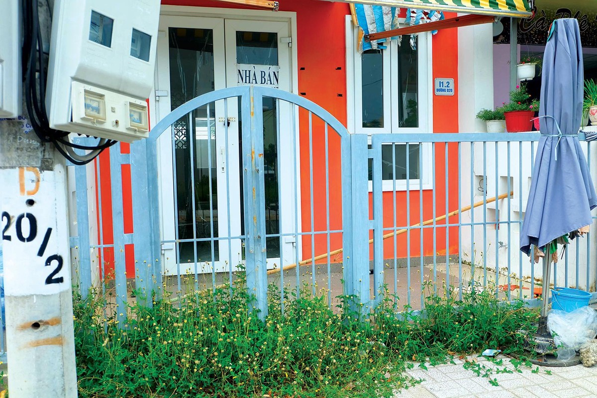 Cỏ mọc chắn lối vào tại một căn liền kề đang rao bán. Ảnh: Việt Dũng