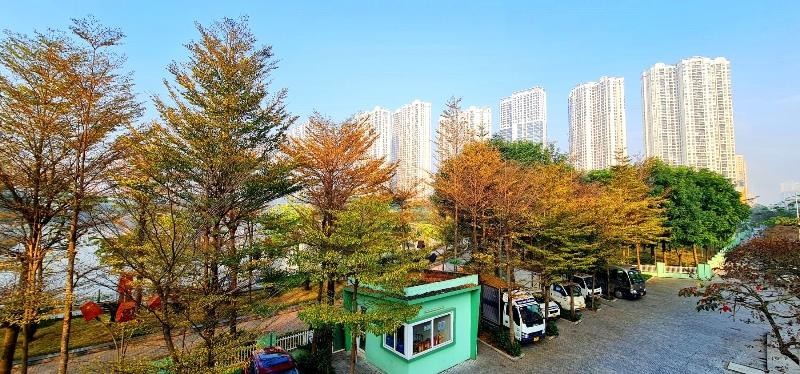 Hà Nội yêu cầu 4 quận nội thành quy hoạch đất cây xanh cấp đô thị 3,5 m2/người.