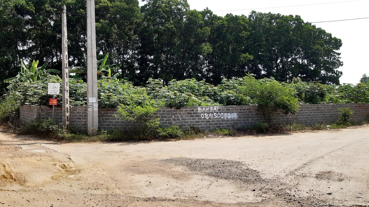 Đất nền đang được giao dịch nhiều ở các địa phương. Ảnh: Thành Nguyễn
