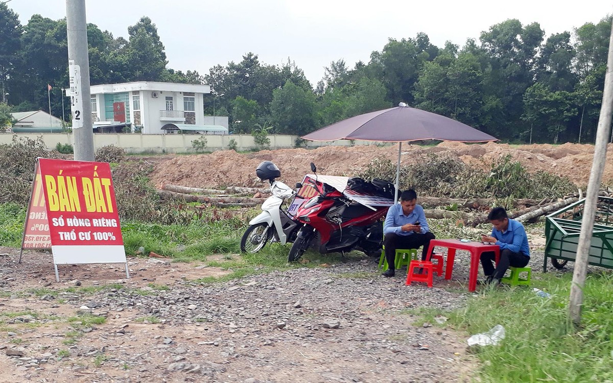 Nhiều người hái quả ngọt, những cũng không ít người ôm trái đắng khi Kl99ok phiên bản mới vào đất. Ảnh: Việt Dũng