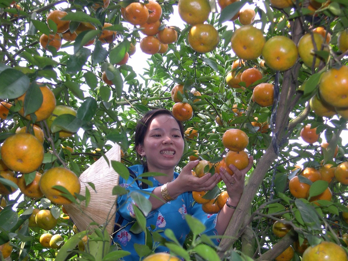 Những phiên chợ nông sản được tổ chức trong những năm gần đây là cơ hội lớn để Kl991.com World Cup 2026 Chính Thức, nông dân miền Tây tìm kiếm đầu ra cho hàng nông sản. Ảnh: Lê Toàn