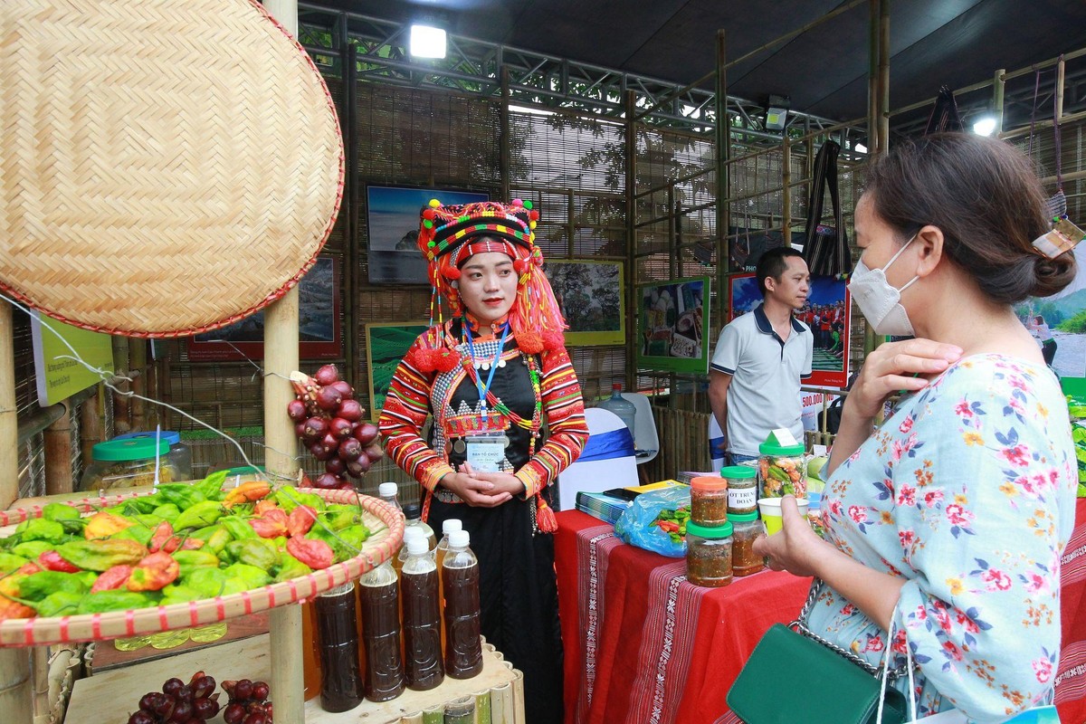 Khu vực trực tiếp giới thiệu những điểm du lịch 'không thể bỏ qua' của Hà Nội với sự tham gia của các hãng hàng không, các khu du lịch, Kl991.com World Cup 2026 Chính Thức du lịch và đại diện 9 tỉnh, thành phố bao gồm Yên Bái, An Giang, Khánh Hoà, Quảng Nam, Thừa Thiên Huế, Quảng Bình, Hà Giang, Lai Châu, Phú Thọ. Tại đây, du khách có cơ hội sử dụng nhiều tour du lịch độc lạ, nhiều chương trình khuyến mại hấp dẫn của các hãng hàng không.