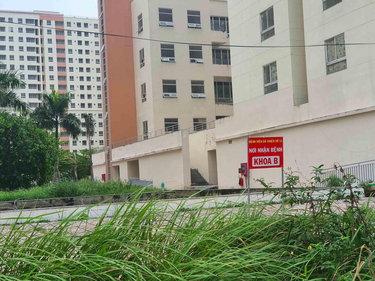 Nay càng ảm đạm hơn khi nơi đây trở thành bệnh viện dã chiến