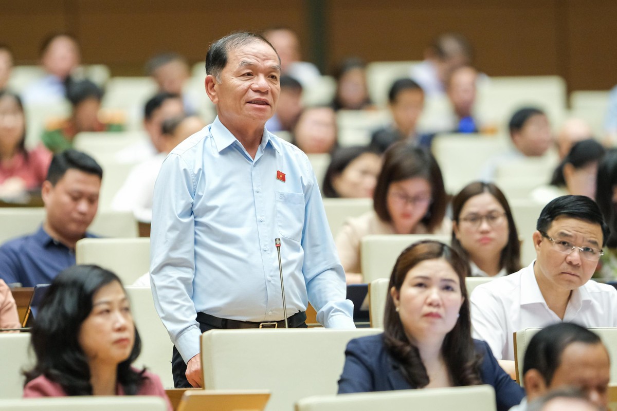 Đại biểu Quốc hội Lê Thanh Vân (Cà Mau).