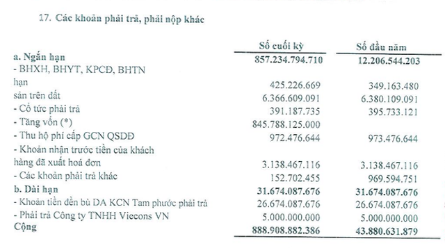 Cơ cấu các khoản phải thu, phải nộp khác của TIP tính tới 30/6/2022. (Nguồn: BCTC).