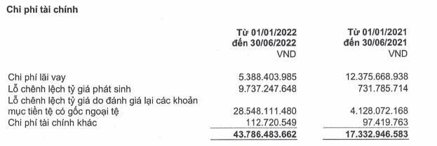 Cơ cấu chi phí Kl991.com nạp rút nhanh của DRI trong 6 tháng đầu năm 2022 (Nguồn: DRI).