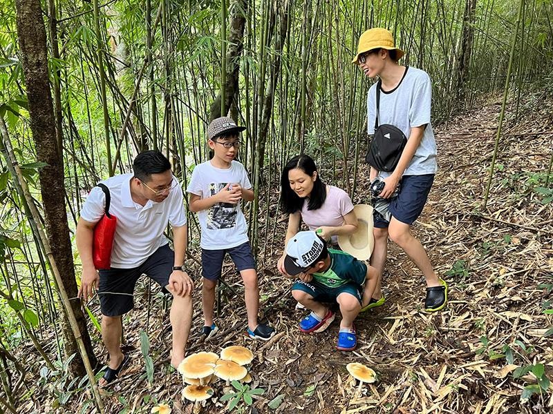 Khu bảo tồn thiên nhiên Đồng Sơn - Kỳ Thượng là nơi có sự đa dạng sinh học rất cao. Trong ảnh, du khách thích thú trải nghiệm trong khu rừng trúc tự nhiên tại thôn Khe Phương, xã Kỳ Thượng.