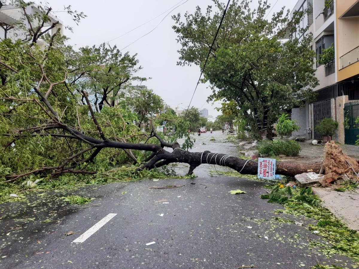 Cây xanh gãy đổ trên đường phố Đà Nẵng.