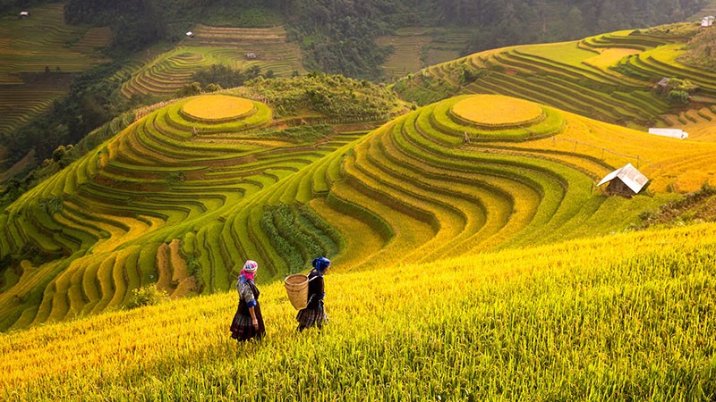 Chúng ta cần sự phát triển bền vững, hài hòa với thiên nhiên để bảo đảm môi trường sống trong lành cho các thế hệ hiện tại và tương lai