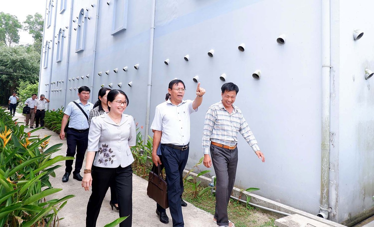 Ngành chức năng Long An kiểm tra dự án nuôi chim yến của Vina Yến.