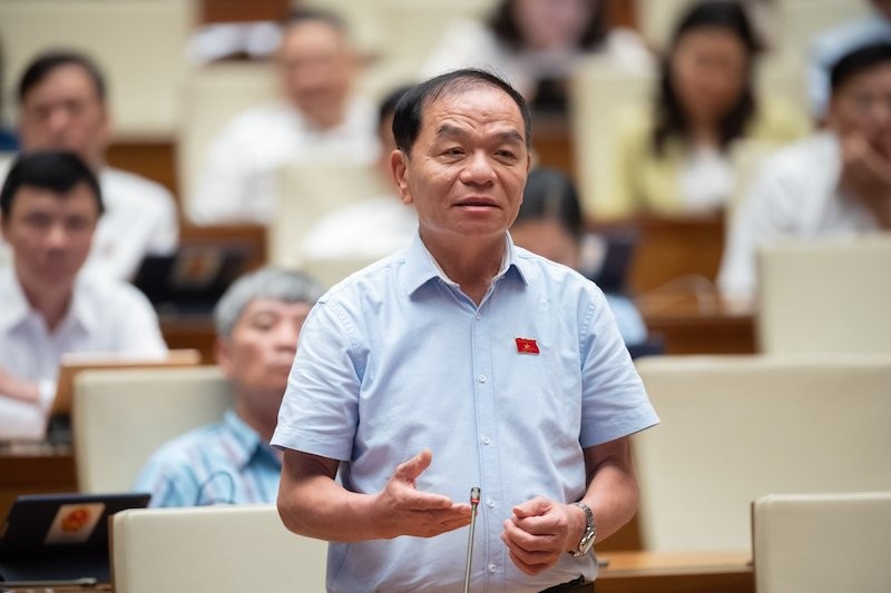 Đại biểu Lê Thanh Vân (Cà Mau) tranh luận.