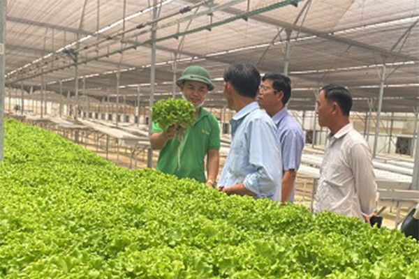 Kl994 nhà cái bóng đá world cup nông nghiệp công nghệ cao tại một Kl991.com World Cup 2026 Chính Thức ở huyện Long Thành, Đồng Nai