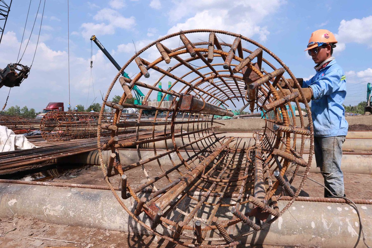 Những chiếc lồng thép được hàn chắc chắn.