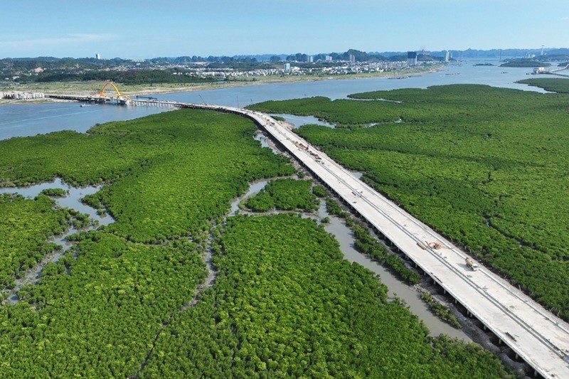 Cầu Cửa Lục 3. Ảnh: baoquangninh.vn Cầu Cửa Lục 3. Ảnh: baoquangninh.vn