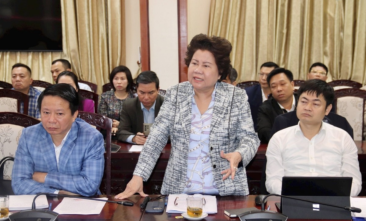 Bà Trương Tú Phương, Chủ tịch HĐQT kiêm Tổng giám đốc Công ty cổ phần Đại An phát biểu tại cuộc họp.