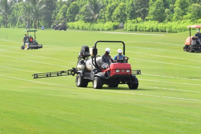 Các sân golf cần được sử dụng nhiều hoá chất để chăm sóc bề mặt cỏ trên sân