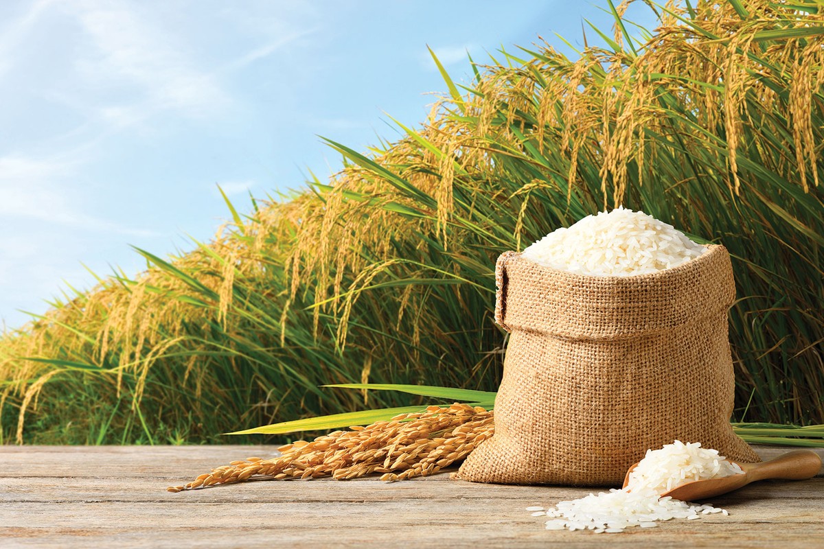Hỗ trợ phát triển bền vững nông nghiệp, nông thôn là một trong những mục tiêu lớn của Vinachem