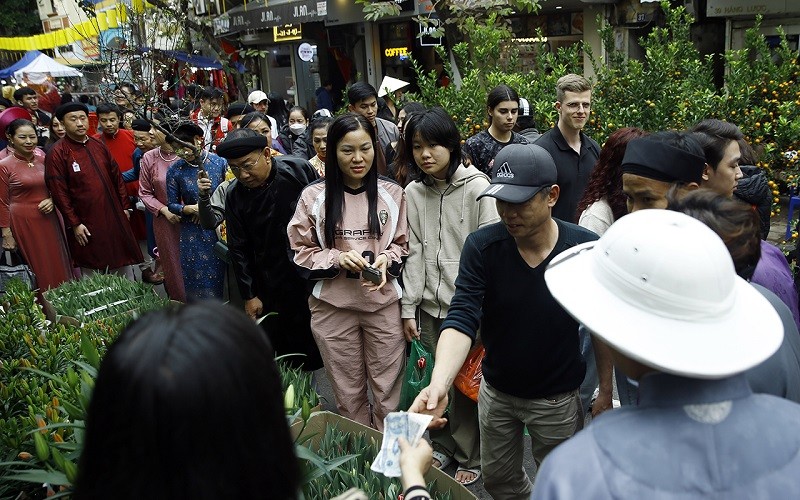 Ngoài hoa đào và quất bình, thì các loại hoa có màu sắc rực rỡ như lan, ly, đồng tiền cũng được ưa chuộng