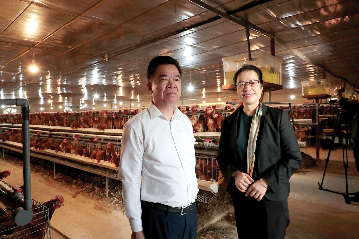 Bà Nguyễn Thị Phượng - Phó tổng giám đốc Agribank và ông Nguyễn Trung Kiên - Giám đốc Agribank Điện Biên thăm trang trại gà của Công ty Huy Toan