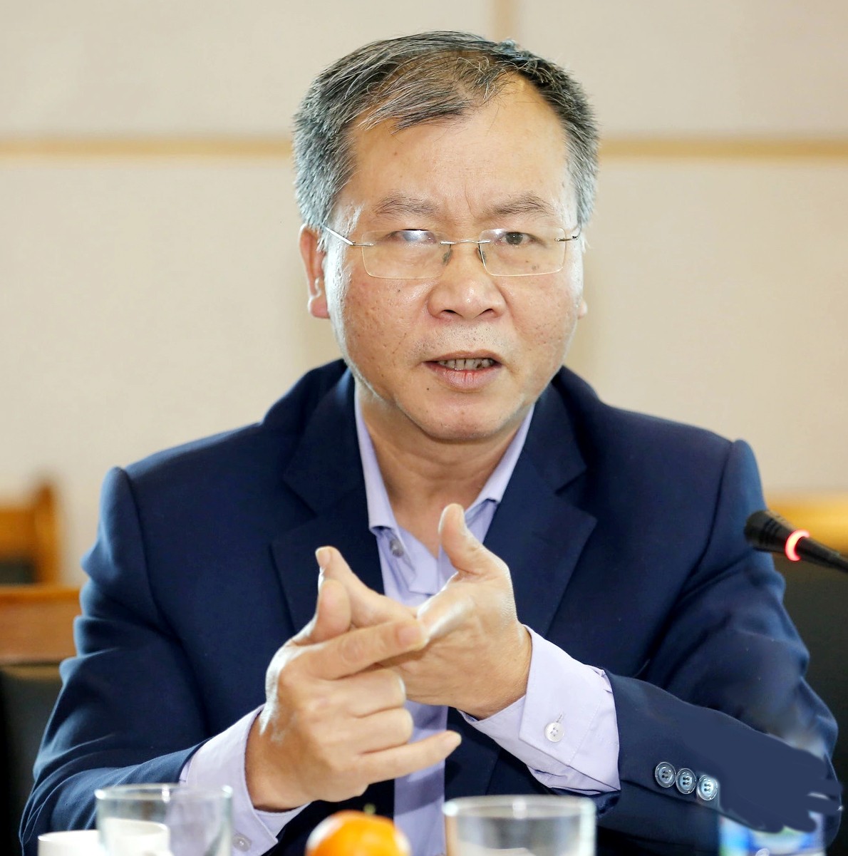 TS. Vũ Đình Ánh, Chuyên gia Kl992 cổng game cá cược