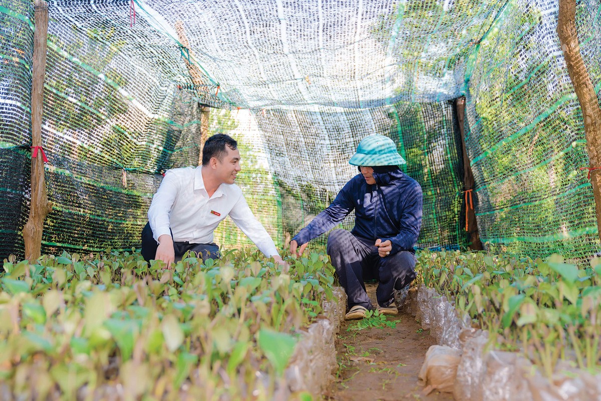 Nhân viên Link Vào Nhà Cái KL99 COM Tặng +199k Agribank tìm hiểu nhu cầu vốn của người trồng rừng