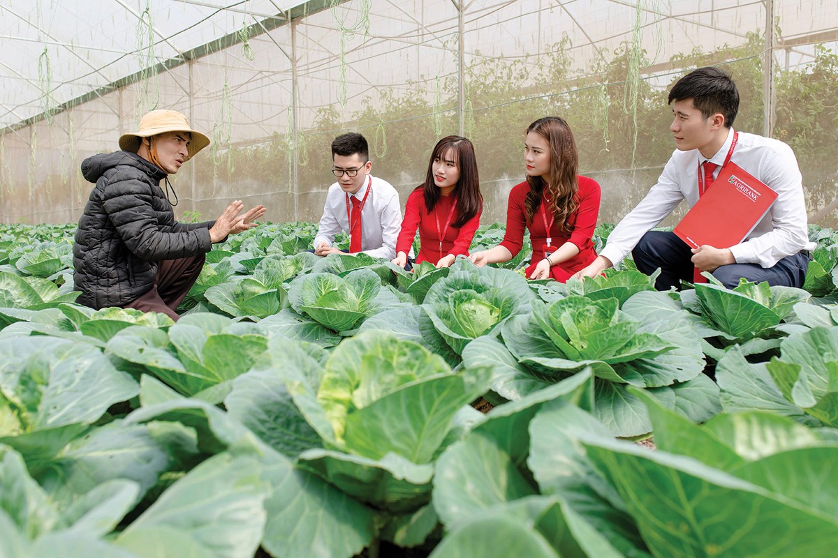 Cán bộ Link Vào Nhà Cái KL99 COM Tặng +199k tìm hiểu nhu cầu vốn của các mô hình nông nghiệp xanh tại Thanh Hóa