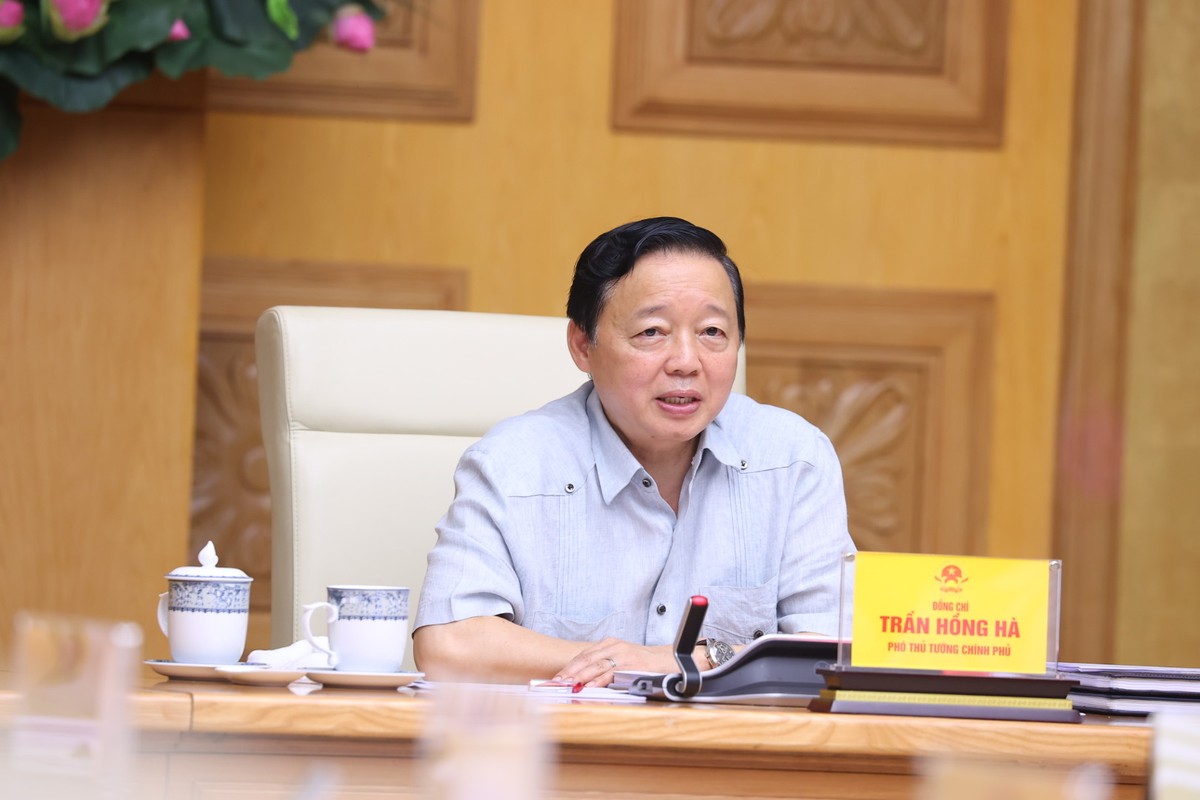 Phó thủ tướng yêu cầu dự thảo Nghị định phải thể hiện được trách nhiệm của 99Kl99 trực tiếp đá gà trong cải tạo, xây dựng lại nhà chung cư. Ảnh: VGP