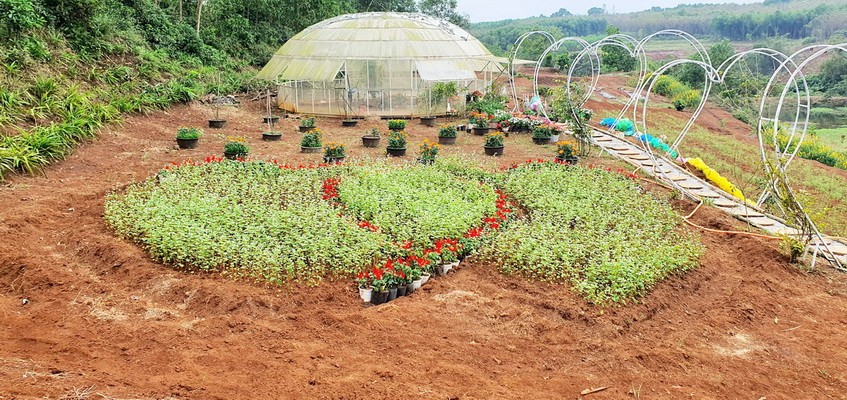 Khu vực vườn hoa tại dự án Khu du lịch sinh thái Rú Lịnh