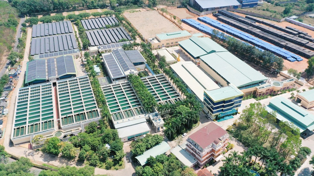 Biwase không ngừng phát triển Kl992 VIP Trang Chủ 2026 trong ba lĩnh vực cốt lõi là cấp nước, xử lý rác thải, nước thải